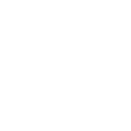 Best Newcomer 2025